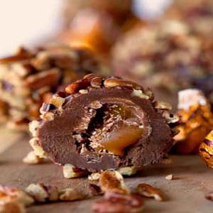 Theobroma Chocolate food of the gods