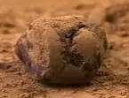 chocolate truffle recipe